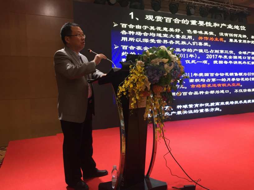 图片11.jpg